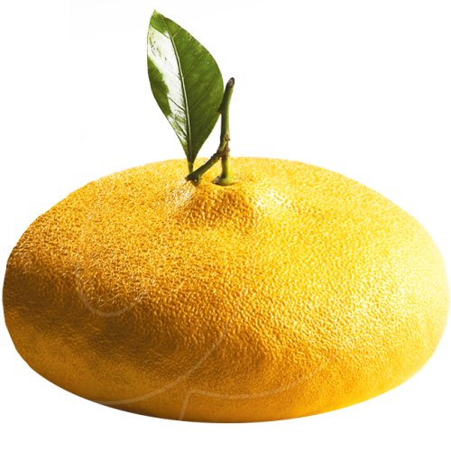 Форма силиконовая Pavoni "CITRON" KE057