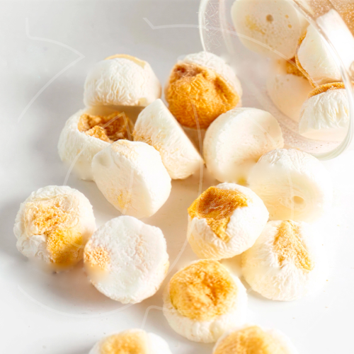 Манго сублимированный Шарики в йогурте 1 кг 00038